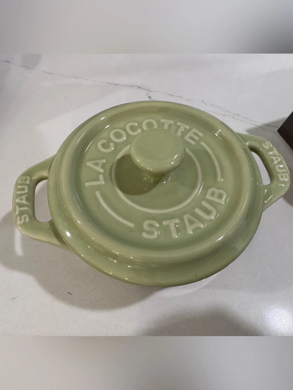 NWT Staub 2-Piece Mini Round Dutch Oven Light Green 10cm